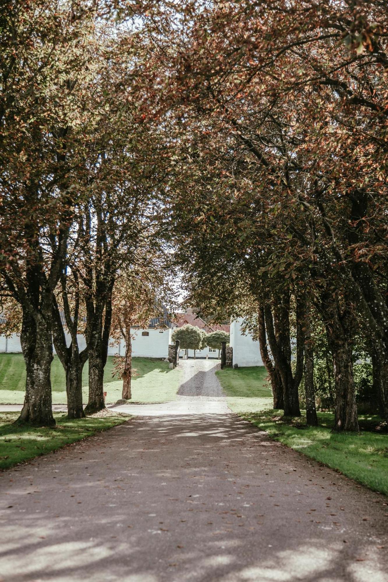 Sebber Kloster Nibe Exteriör bild